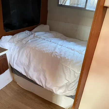 Le Bateau De La Joie De Vivre Hyères